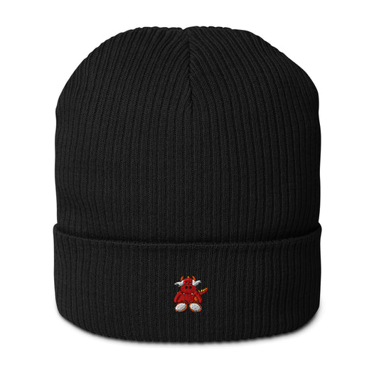 After Hours Organic Ribbed Beanie | Atlantis